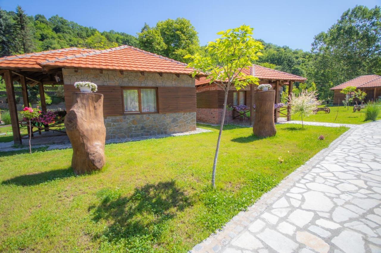 Appartement Etno Selo Svodje à Vlasotince Extérieur photo